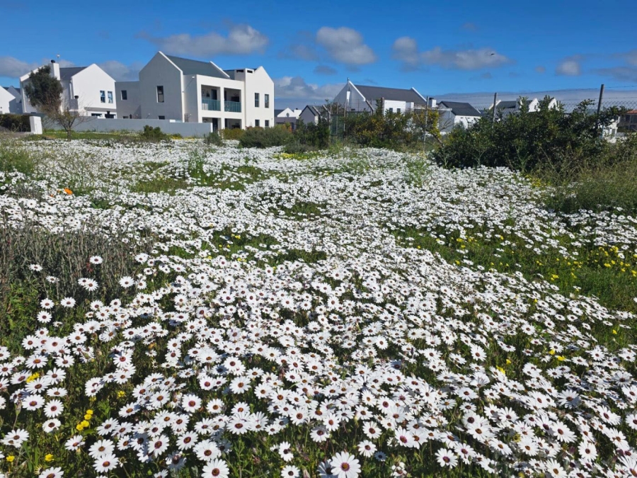 3 Bedroom Property for Sale in Blue Lagoon Western Cape
